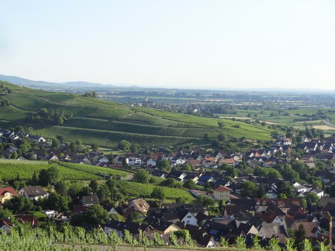 uerer Berg: Blick Kirchhofer Berg Pfaffenweiler