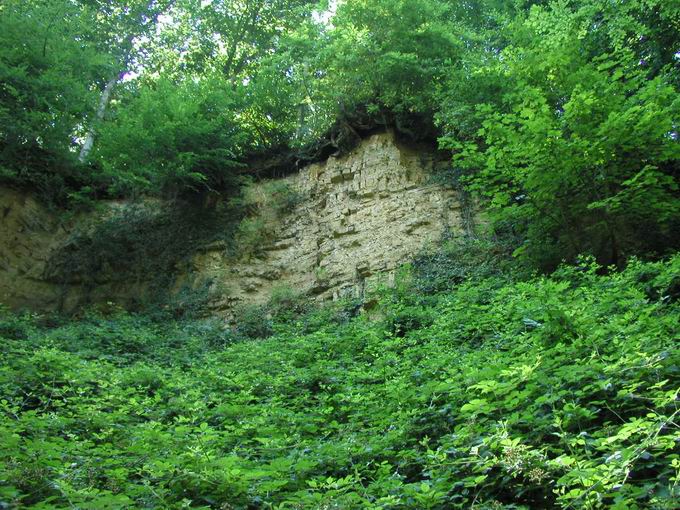 Historische Steinbrche Pfaffenweiler