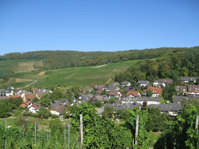 Kirchhofer Berg Pfaffenweiler: Blick Gewann Afrika