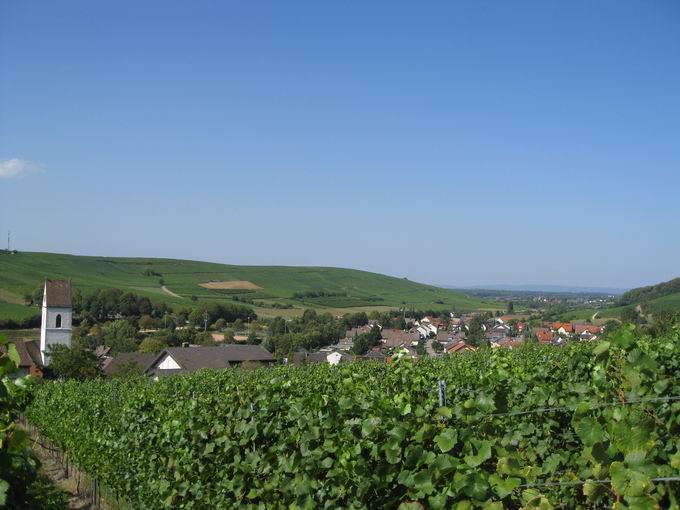 Batzenberg