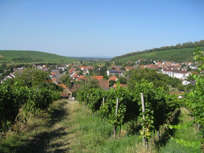 Batzenberg