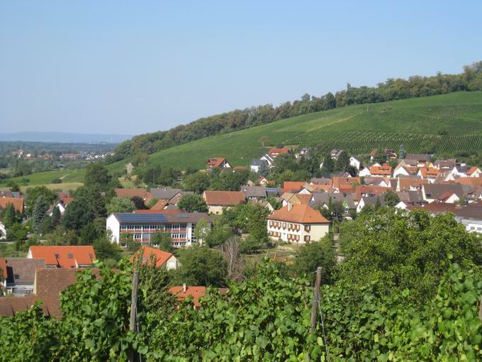 Kirchhofer Berg: Blick Rathaus