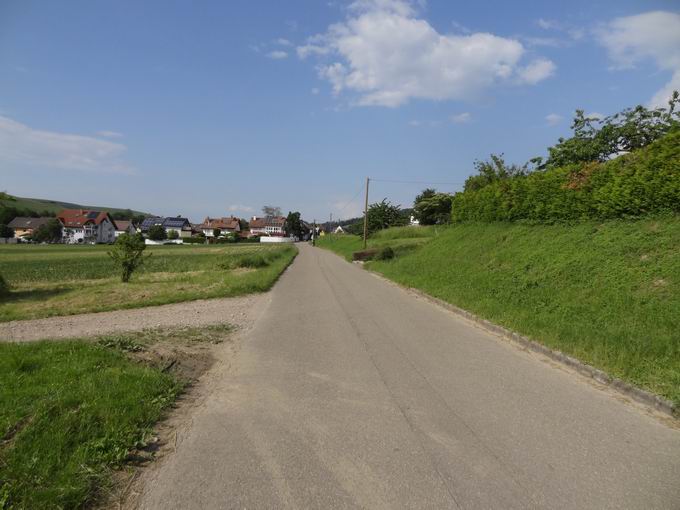Kirchhofer Weg: Nordblick