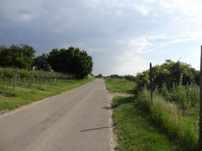 Kirchhofer Weg: Sdblick