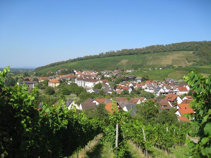 Schnberg im Breisgau