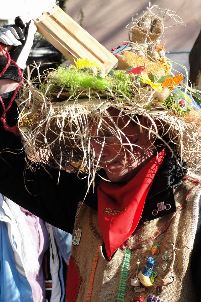 Umzug Oberkirch Narrentreffen 2011