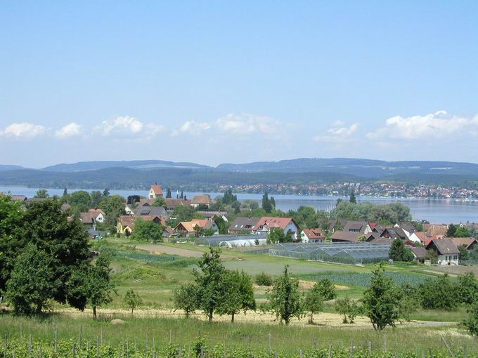 Reichenau - Insel  im Bodensee