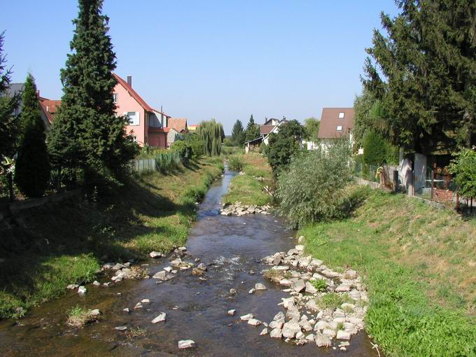 Fluss Rench in Renchen