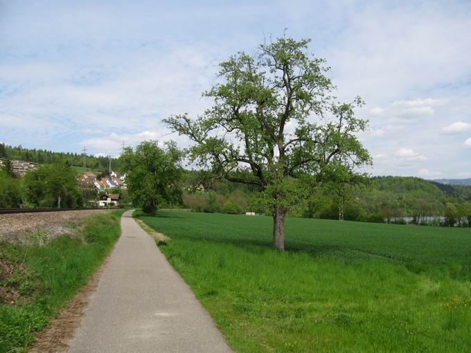 Hochrheinbahn Schloss Beuggen