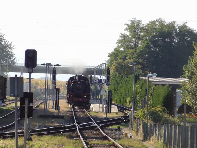 Bahnhof Riegel & Rebenbummler