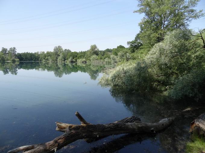 Klausensee Riegel: Nordufer