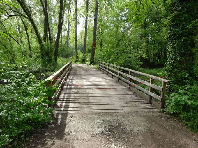 Rappenkopfbrcke Taubergieen