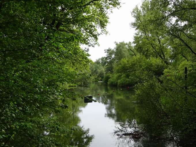 Rappenkopfbrcke Taubergieen: Sdblick