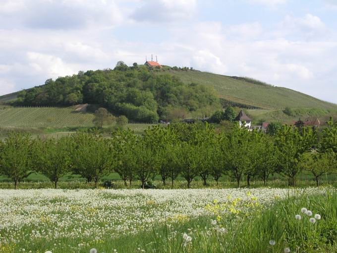 Kaiserstuhl