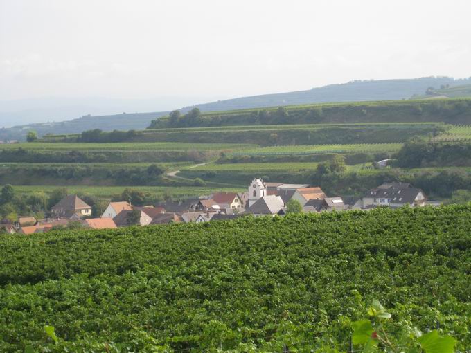 Sasbach am Kaiserstuhl 