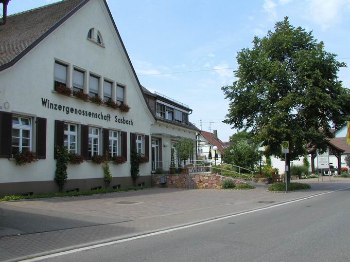 Winzergenossenschaft Sasbach