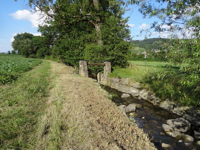 Stellfalle am Altgraben Wolfenweiler
