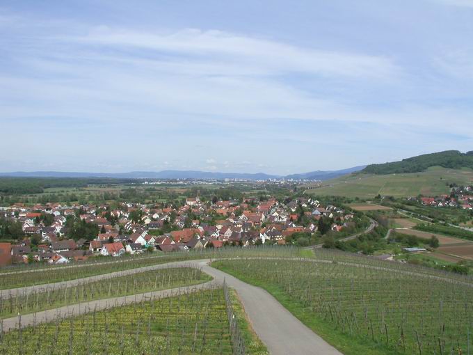 Batzenberg Schallstadt: Wolfenweiler