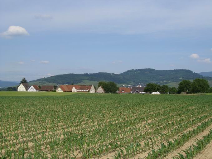 Schallstadt