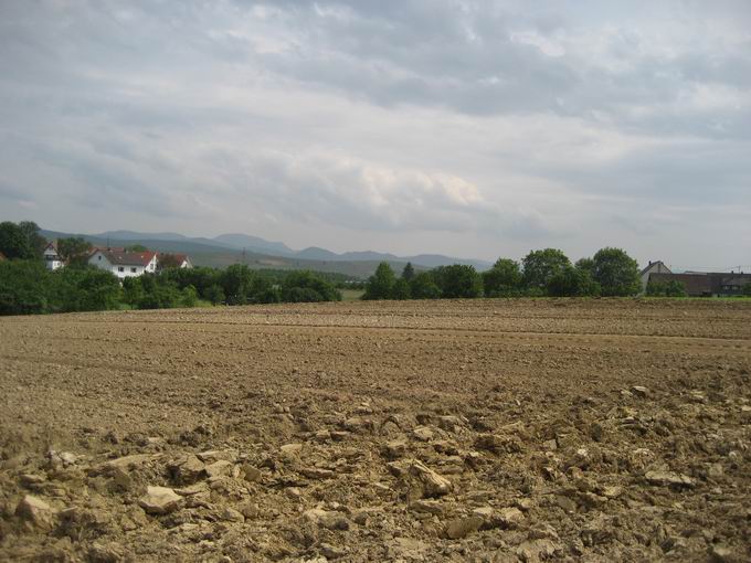 Fhrenschallstadt: Blick Belchen