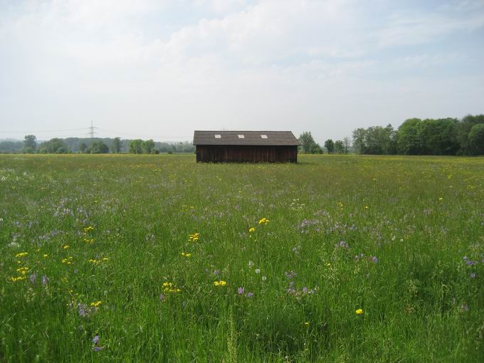 Elzmattengraben Fhrenschallstadt