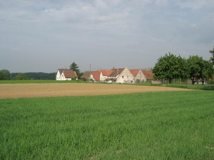 Schallstadt