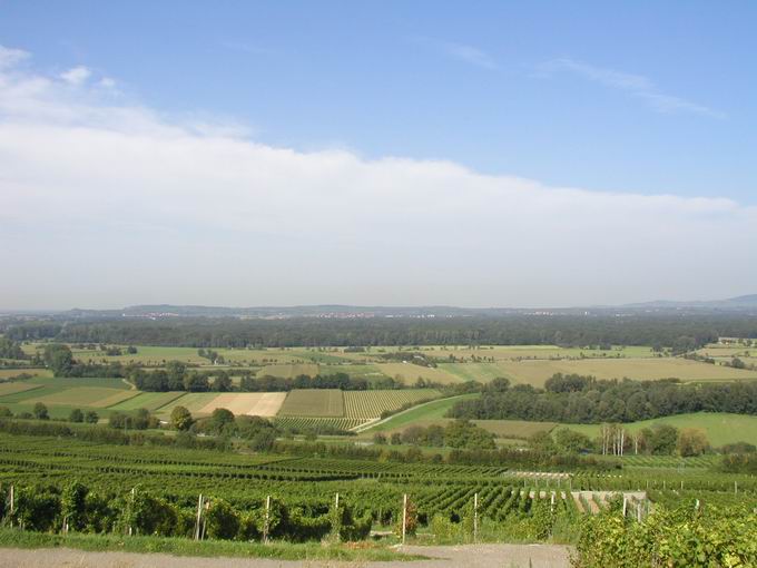 Leutersberg: Blick Tuniberg