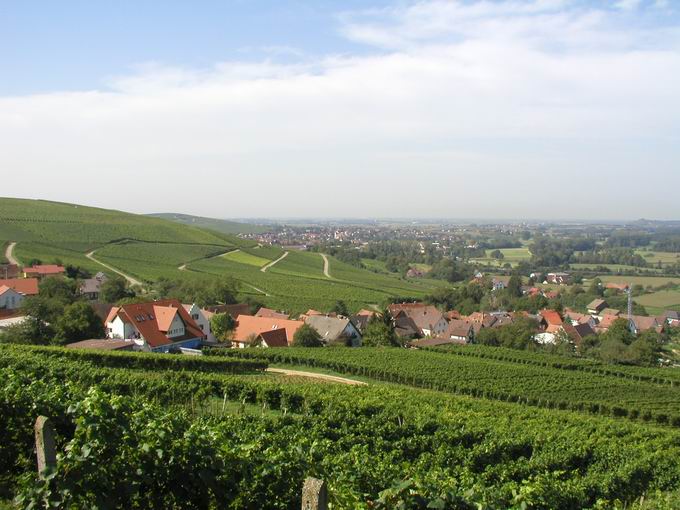 Leutersberg: Blick Wolfenweiler