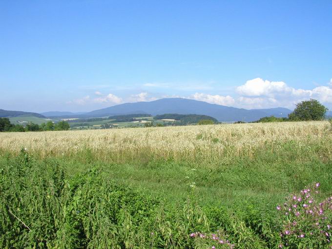 Markgrflerland bei Schliengen