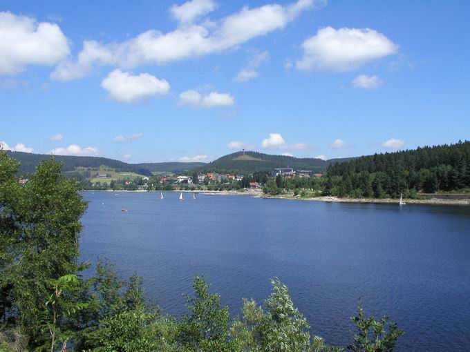 Jgergutweg Schluchsee: Blick Amalienbucht