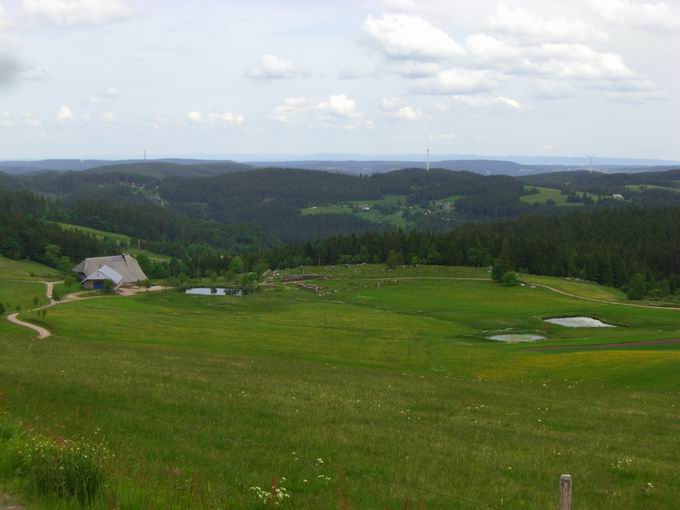 Schnzlehof am Rohrhardsberg