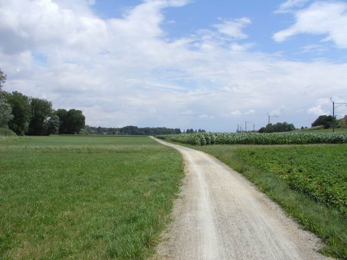 Bodensee-Radweg Riedstraße Gottlieben