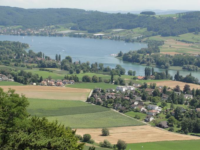 Burg Hohenklingen Blick Untersee