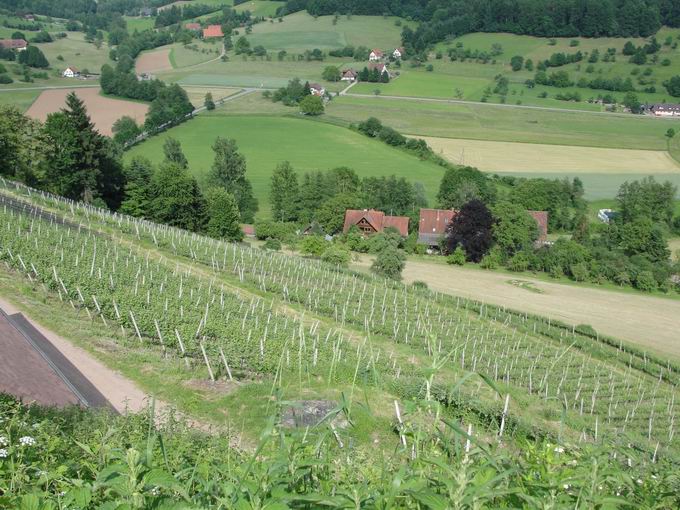 Am Schlossberg Sexau