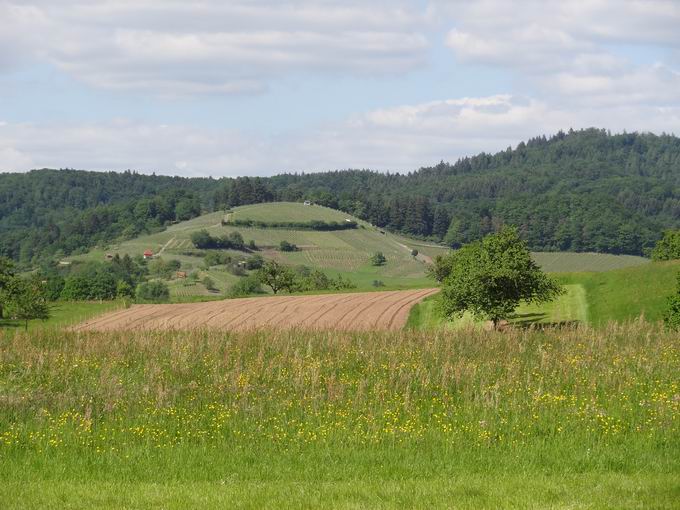 Burghalde Sexau