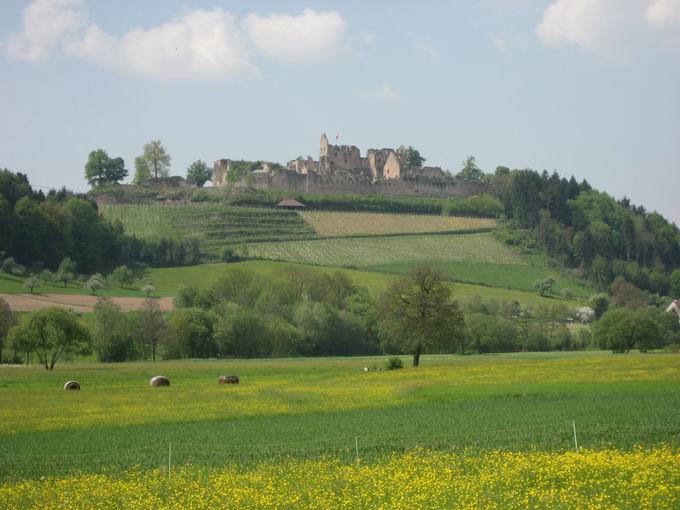 Mhlebchle Sexau: Blick Hochburg