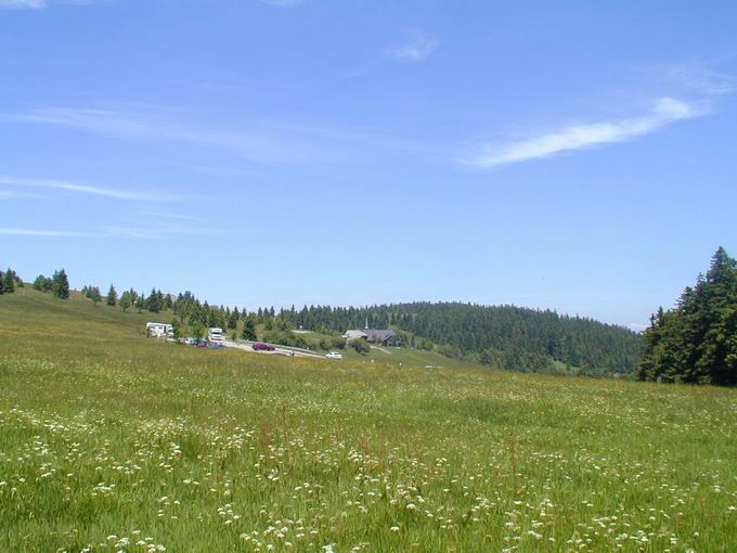 Waldkirch im Elztal