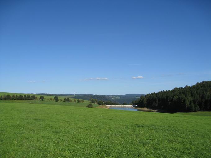 Platte im Schwarzwald