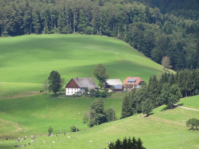 St. Peter im Schwarzwald