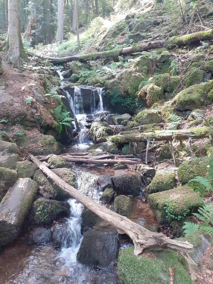 St. Peter im Schwarzwald