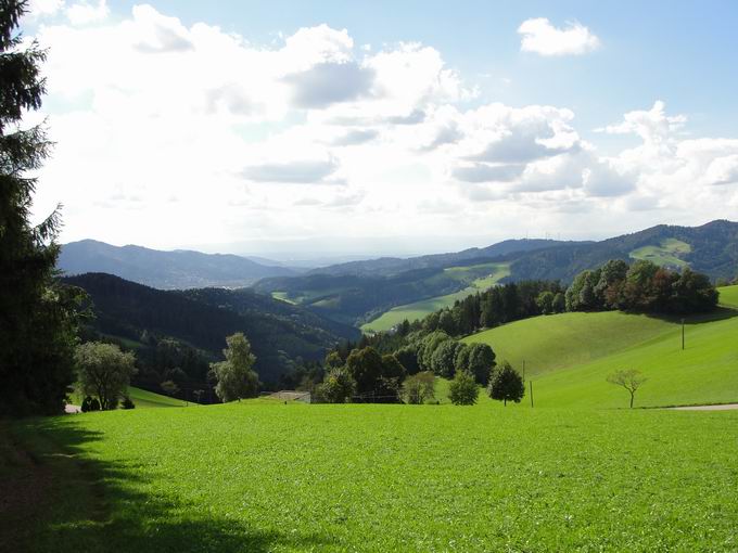 Hochgericht: Blick Eschbachtal