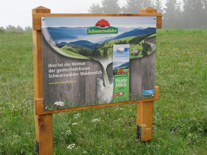 Hochgericht: Heimat der Schwarzwälder Weidemilch