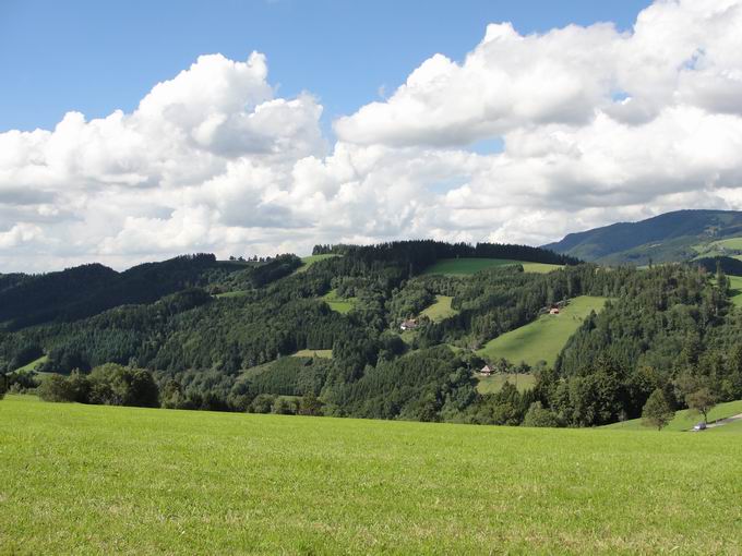 Hochgericht: Blick Horn