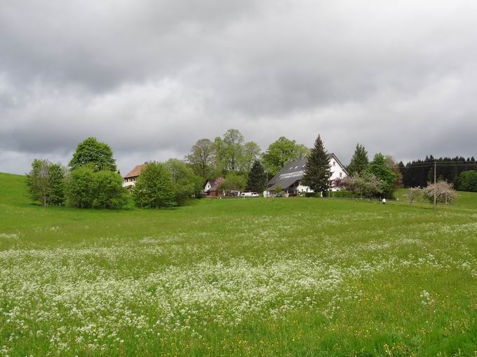 St. Peter im Schwarzwald