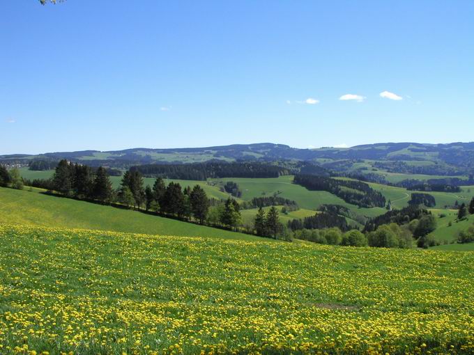 St. Peter im Schwarzwald