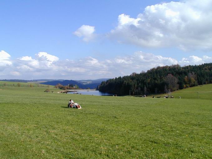 Plattensee St. Peter