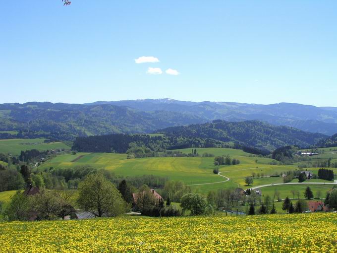 St. Peter im Schwarzwald