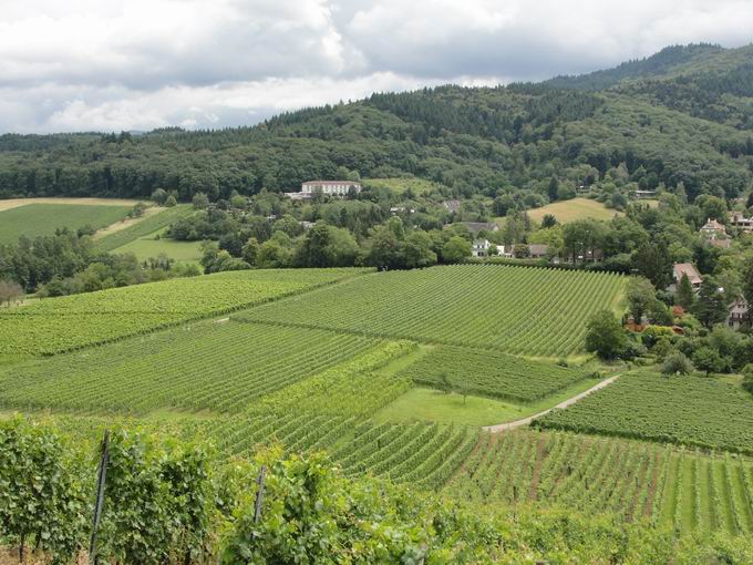 Staufen im Breisgau