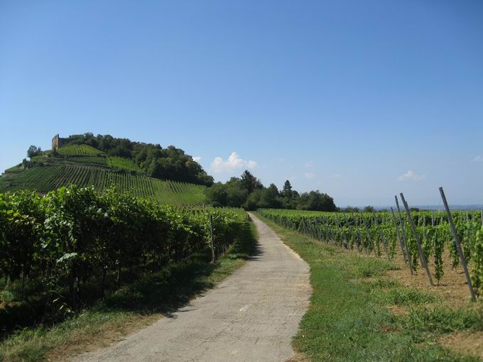 Burgruine Staufen im Breisgau