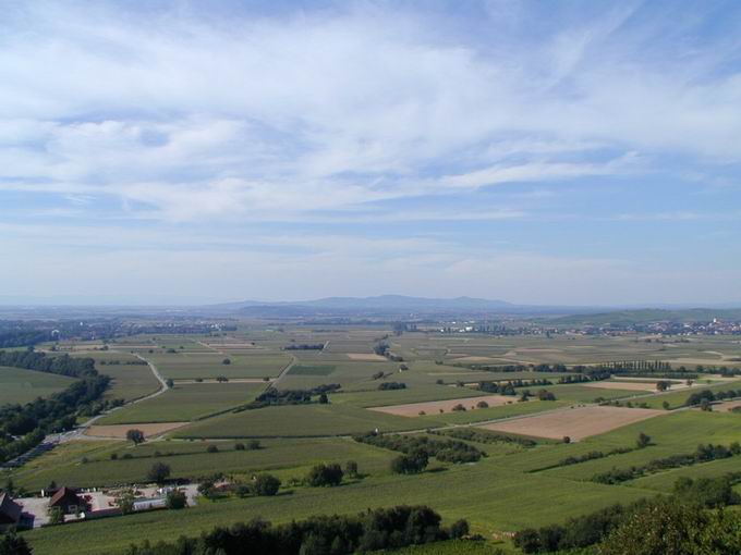 Burg Staufen: Blick Kaiserstuhl